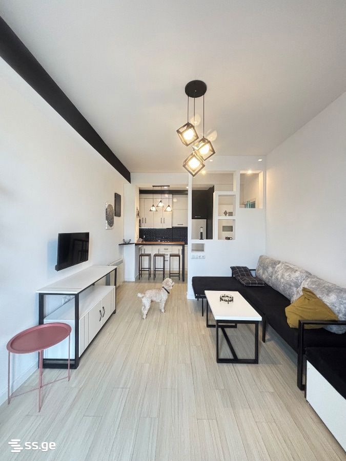 a.wereTlis avenue 117 - 2 rooms