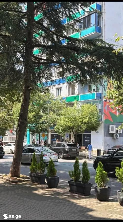 Z. Gorgiladze Street 37) - 2 rooms