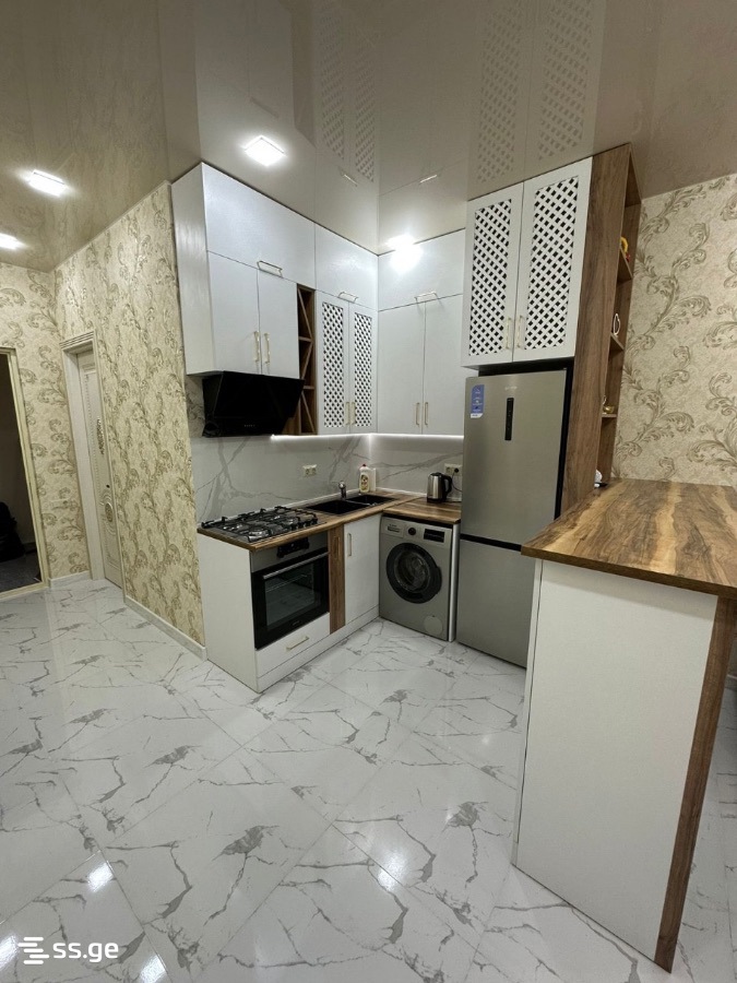 Haidar Abashidze Street 60 - 1 rooms