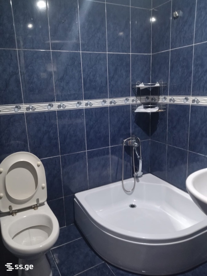 Mukhianis agarakebi მუხიანი - 2 rooms