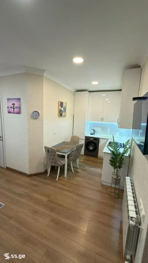 s. cincadze st 1 - 2 rooms