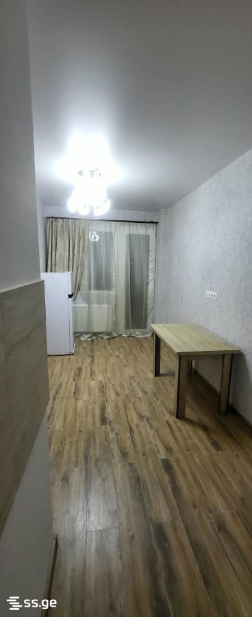 gvetadze st. - 2 rooms