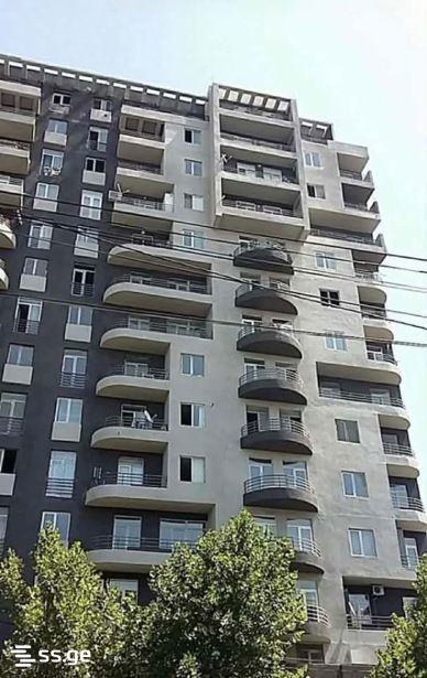 Ts. Dadiani st. (nadzaladevi) 0 - 3 rooms