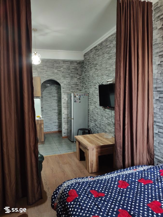 guramishvili ave (Sanzona) 0 - 1 rooms