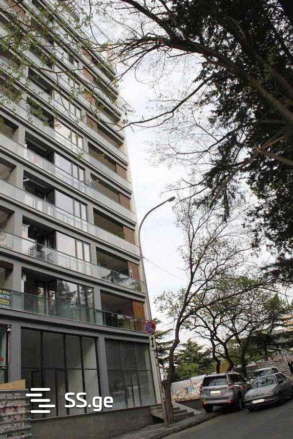 i. chavchavadze avenue - 2 rooms