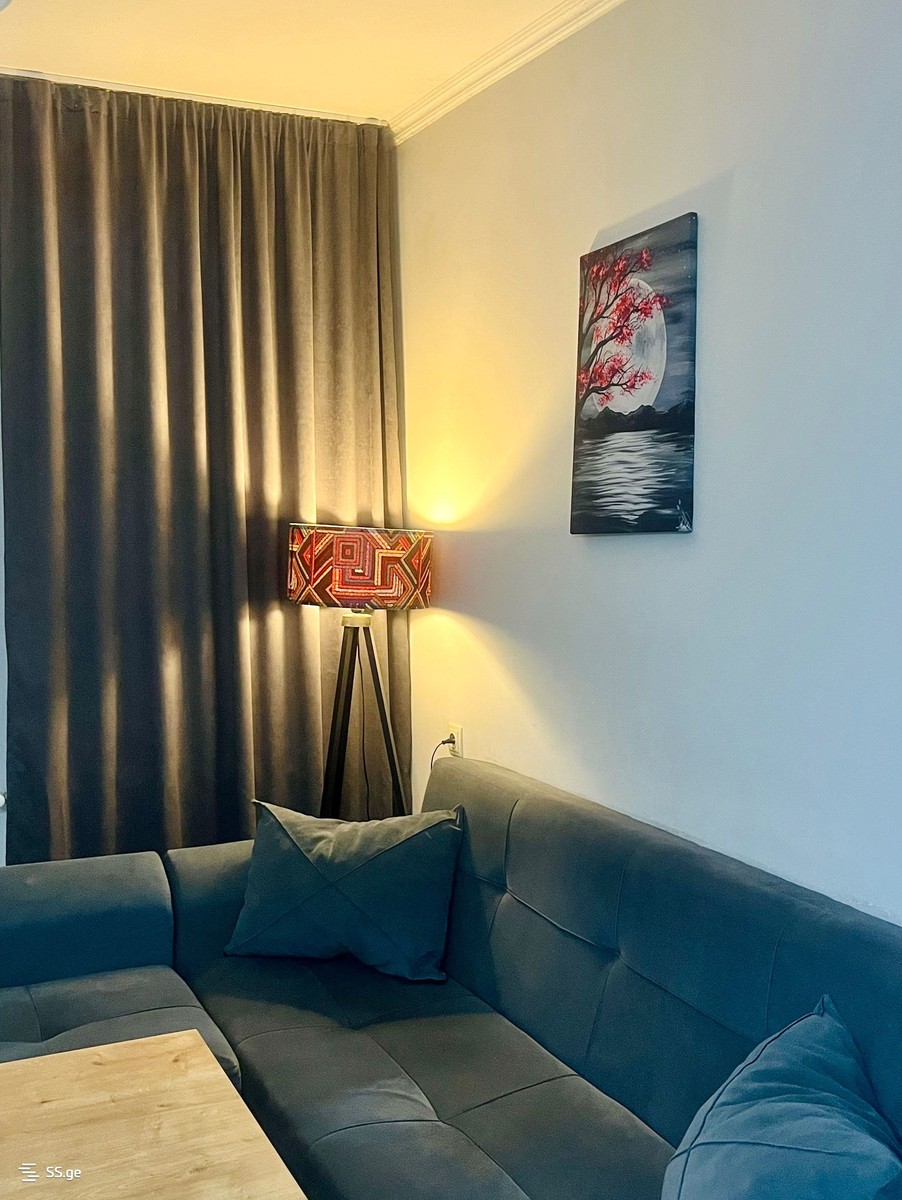 Bendukidze University Campus 42 - 2 rooms