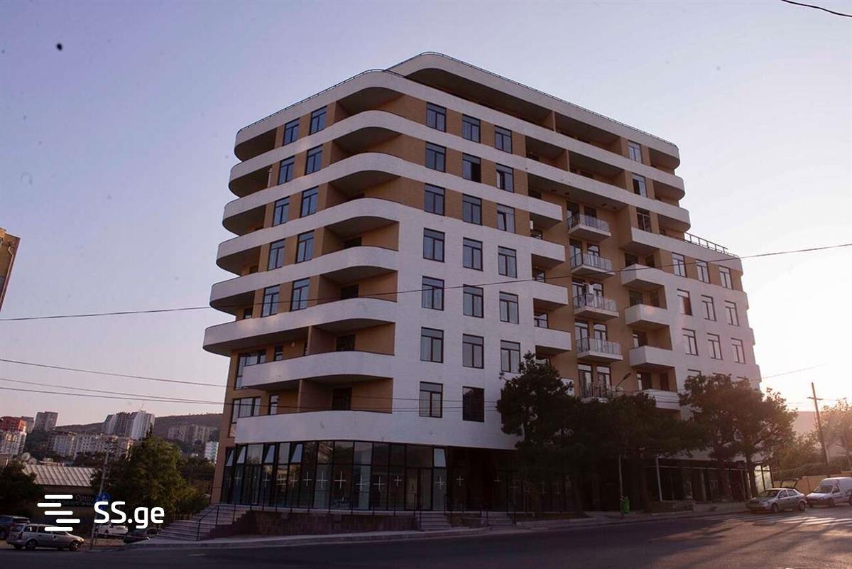 Gr. Robakidze Ave 110 - 2 rooms