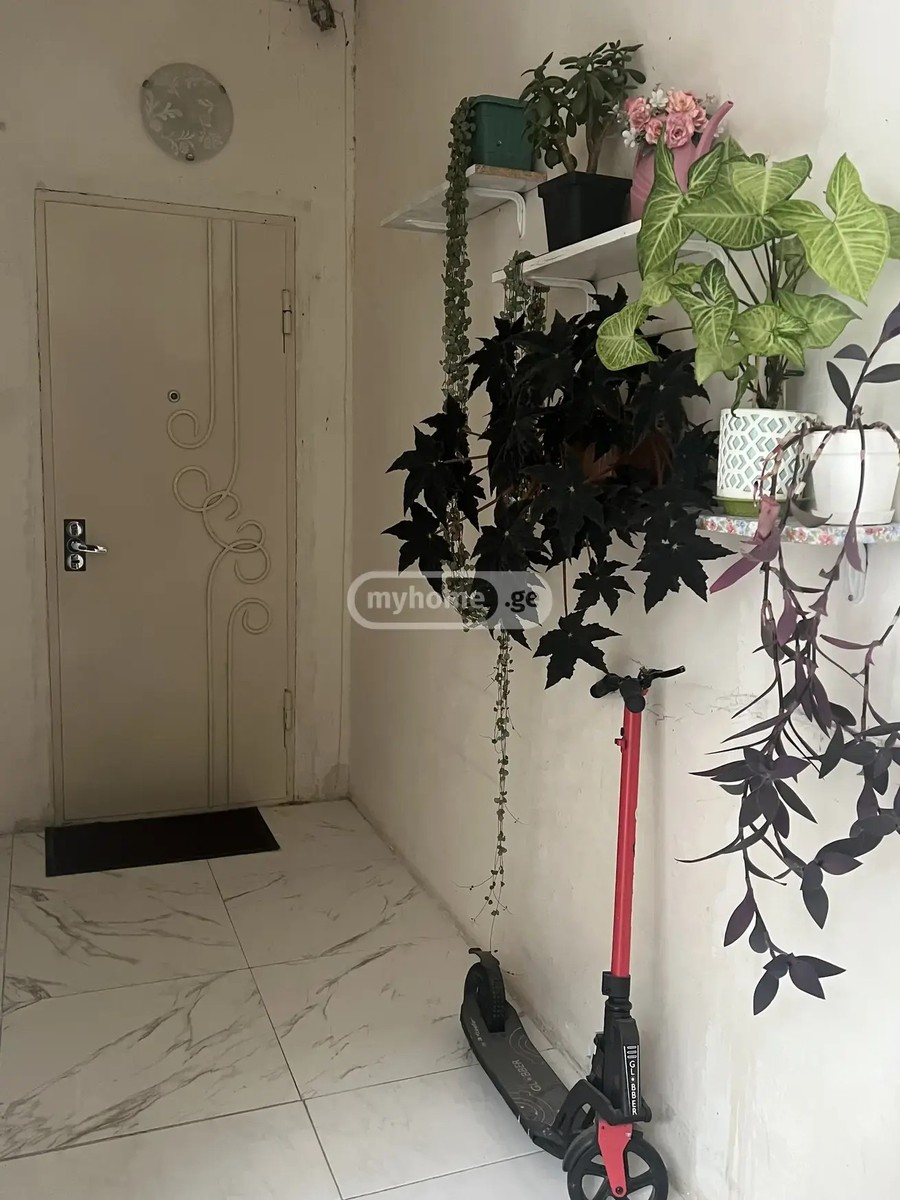 წერეთლის ქუჩა  - 2 rooms