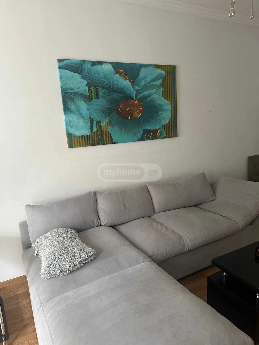 ჯანაშიას ქ. 19 - 2 rooms