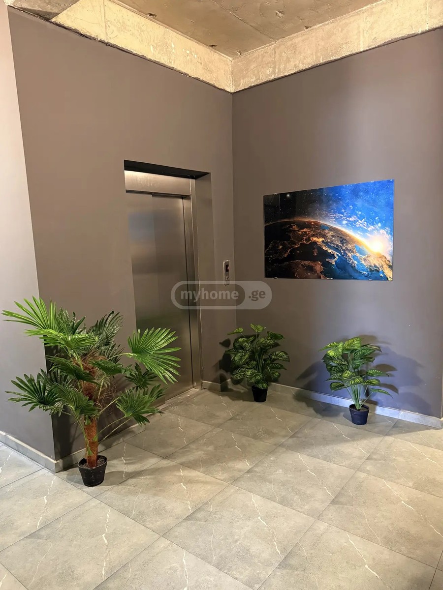 ცაცხვების ქუჩა 10 - 4 rooms