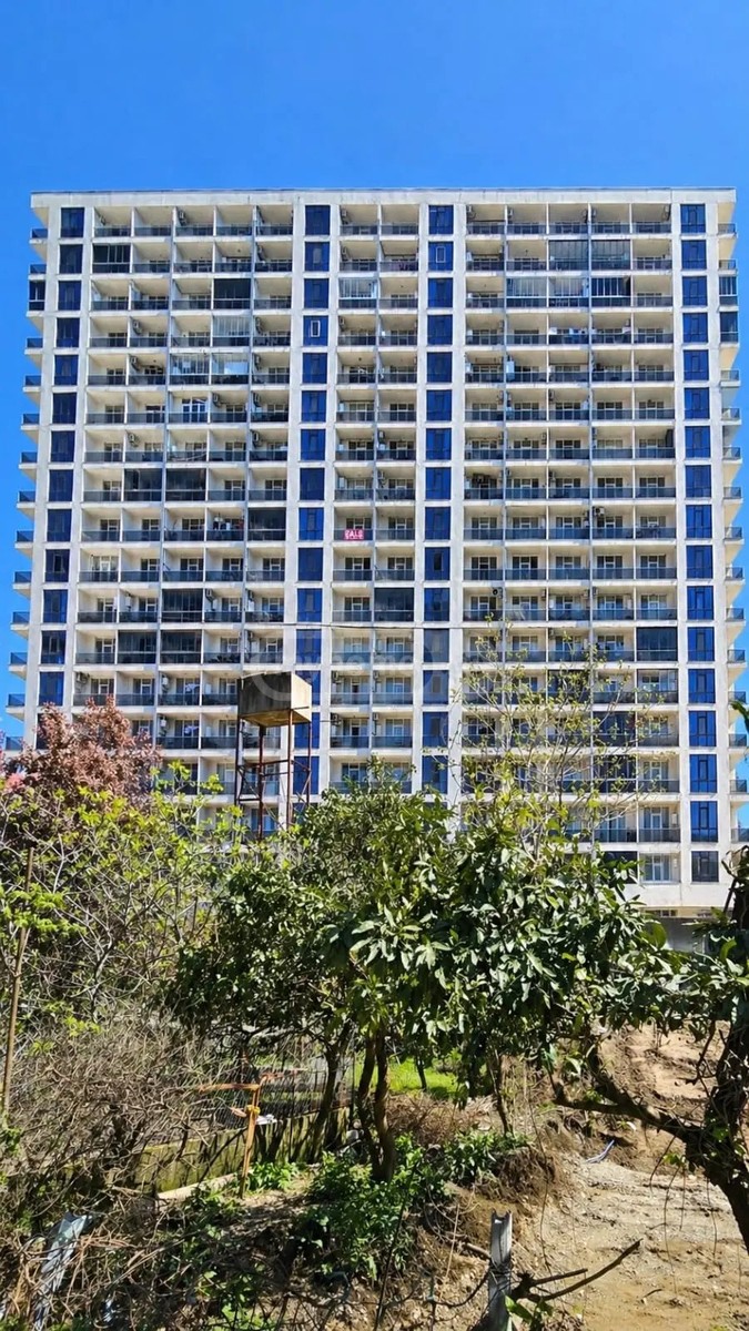 ანგისის II ჩიხი  - 1 rooms