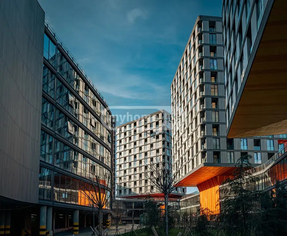ავალიშვილი ზ. ქ.  - 3 rooms
