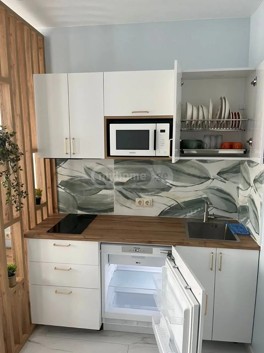 დ. მამულაძე 19 - 1 rooms