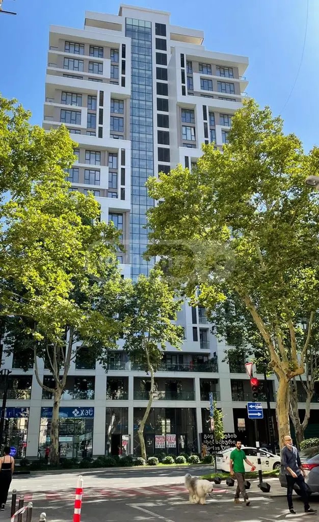 ჭავჭავაძე ი. გამზირი 30 - 2 rooms