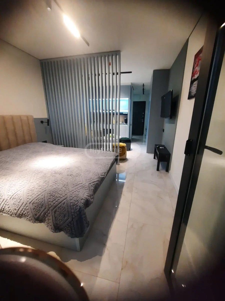 ლორთქიფანიძე გრ. ქ. 24 - 1 rooms