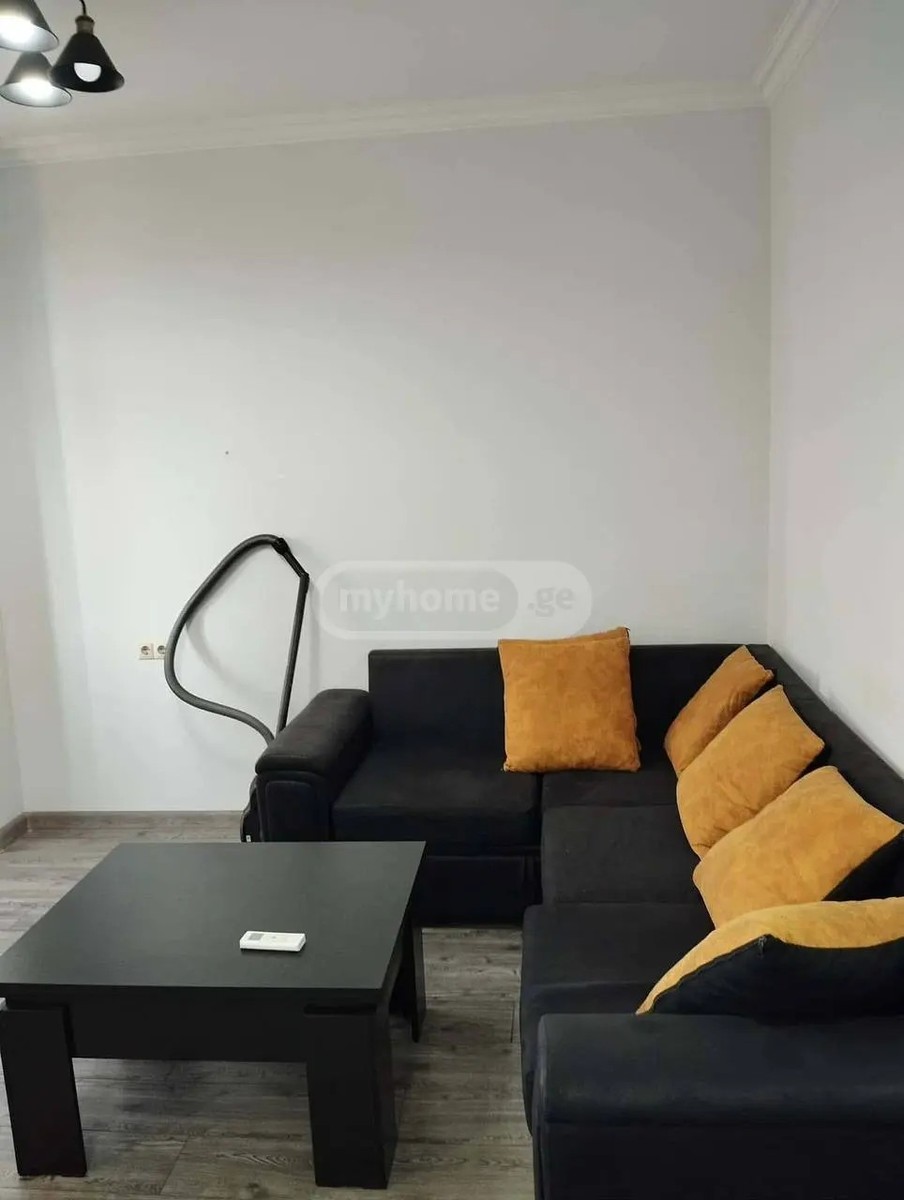 ბაგრატიონის ქუჩა 163 - 2 rooms
