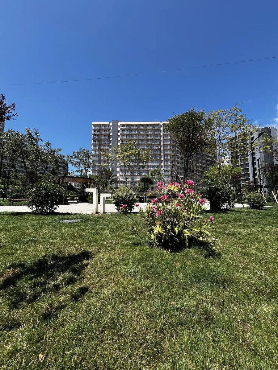 მირიან მეფის ქ. 29დ - 1 rooms