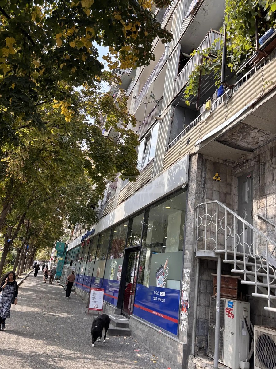 ვაჟა-ფშაველას II შეს. 39 - 1 rooms