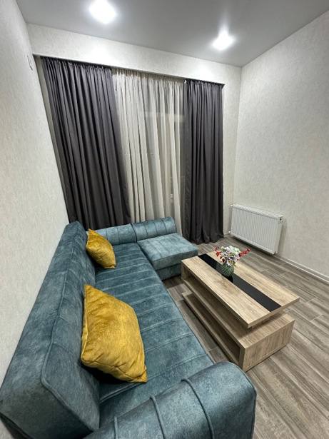 Mukhiani/Gobronidze - 3 rooms